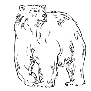 Journey Protects the Arctic